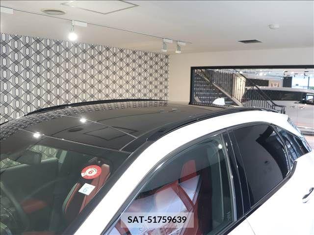 Lexus RX 2023-06 275879-17