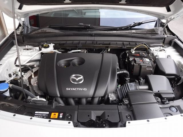 Mazda MX-30 2021-03 192064-19