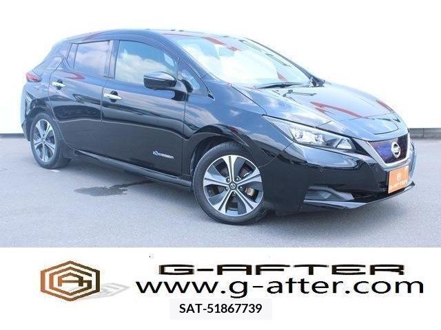 Nissan LEAF 2019-10 329730-0