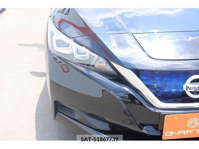 Nissan LEAF 2019-10 329730-10