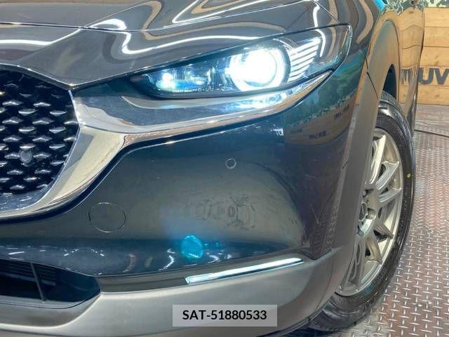 Mazda CX-30 2020-09 220347-12