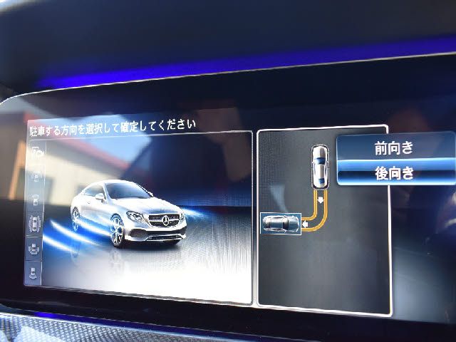 Amg E-CLASS 2020-01 184809-17