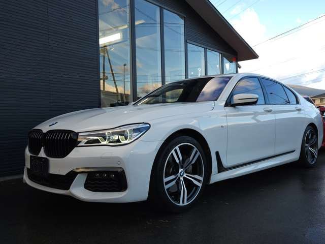 Bmw 7 SERIES 2018-01 182059-16