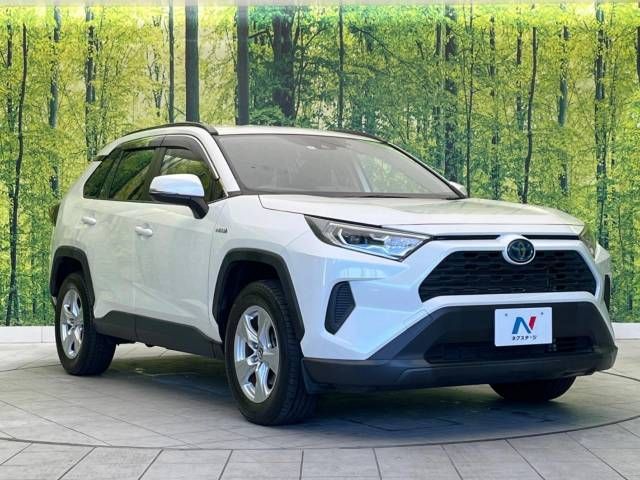 Toyota RAV4 2019-07 195274-16