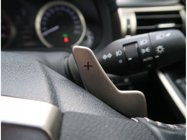 Lexus IS 2014-03 181485-28