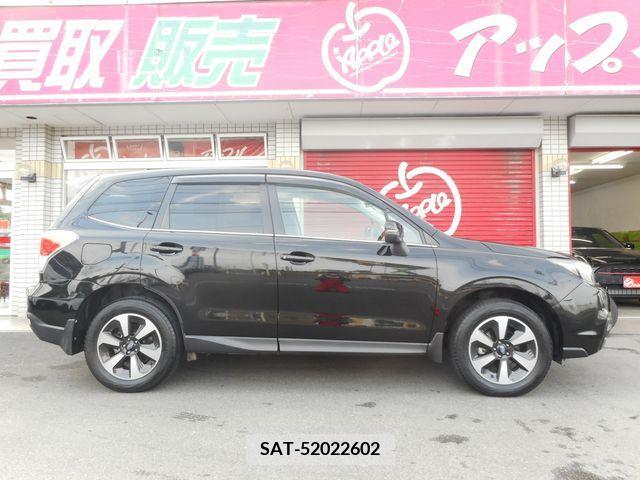 Subaru FORESTER 2017-02 270213-5