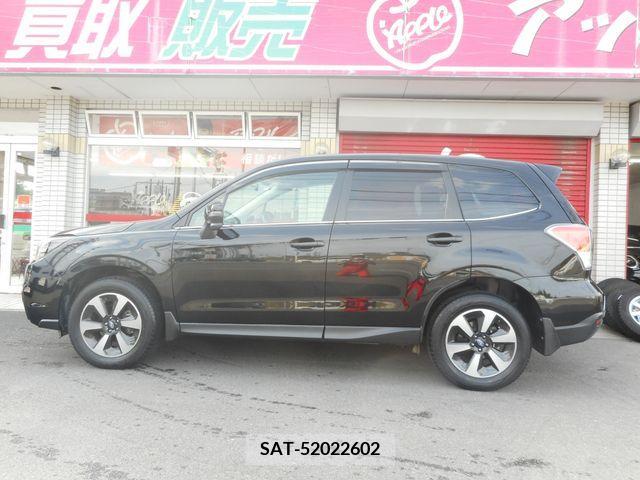 Subaru FORESTER 2017-02 270213-6