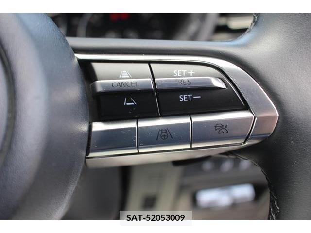 Mazda MAZDA3 2019-09 233980-16