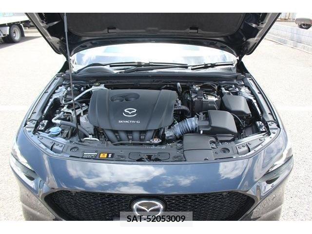 Mazda MAZDA3 2019-09 233980-19