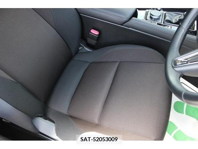 Mazda MAZDA3 2019-09 233980-12