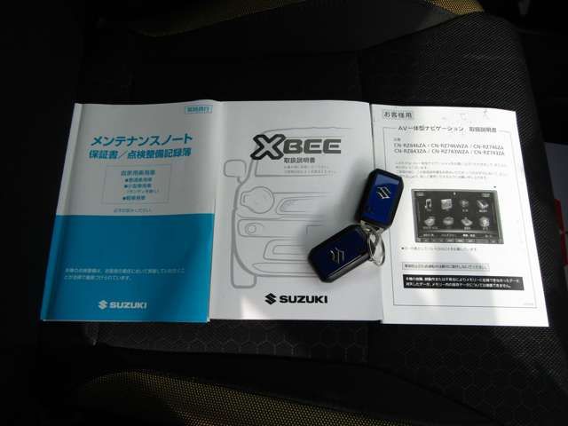 Suzuki X BEE 2019-01 15694-19