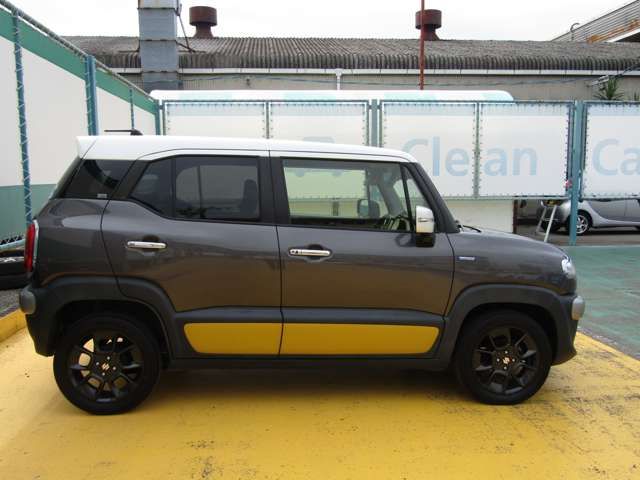 Suzuki X BEE 2019-01 15694-5