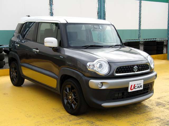 Suzuki X BEE 2019-01 15694-4