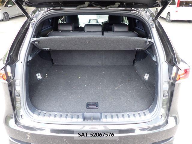 Lexus NX 2015-03 334464-23