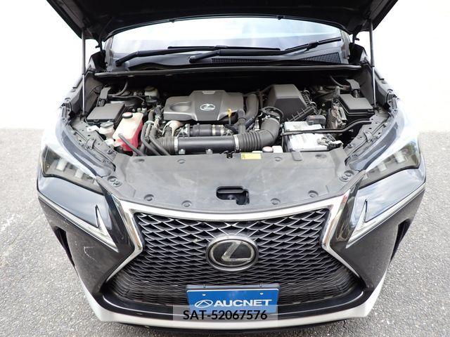 Lexus NX 2015-03 334464-25