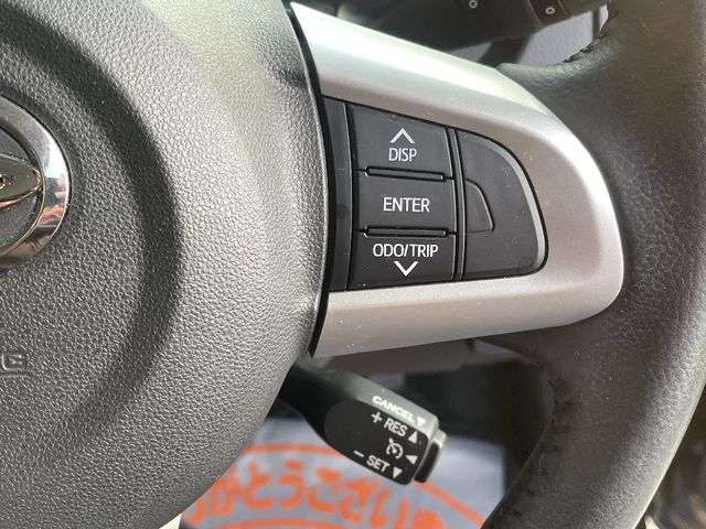 Daihatsu THOR 2019-02 29007-17
