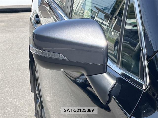 Subaru FORESTER 2021-07 245082-13