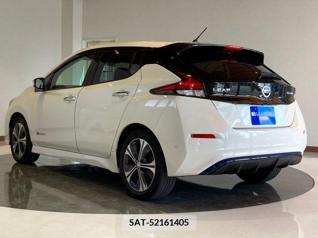 Nissan LEAF 2018-03 248027-2