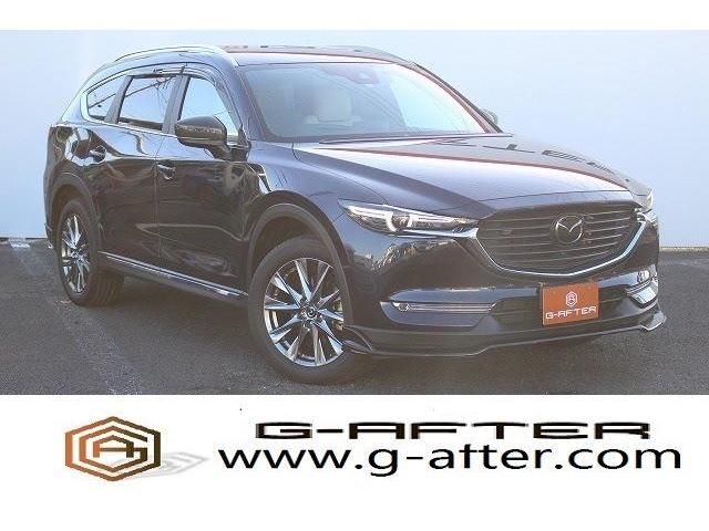 Mazda CX-8 2019-01 17012-0