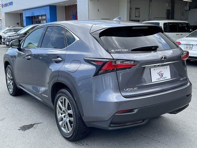 Lexus NX 2014-09 13142-16