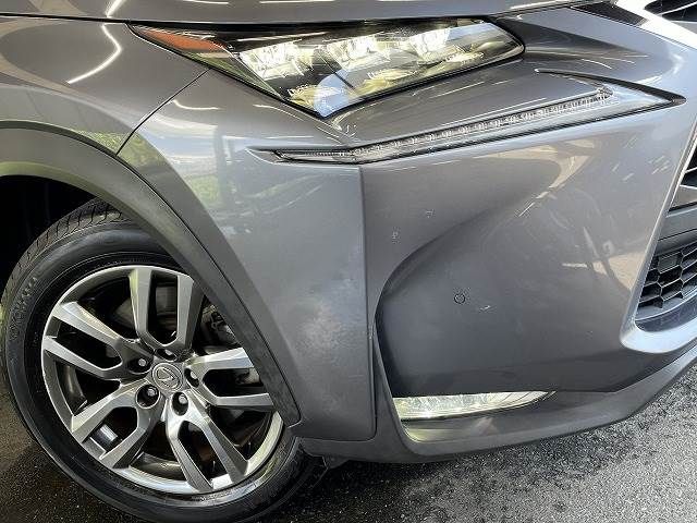 Lexus NX 2014-09 13142-19