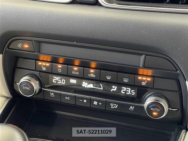 Mazda CX-8 2020-01 358813-12