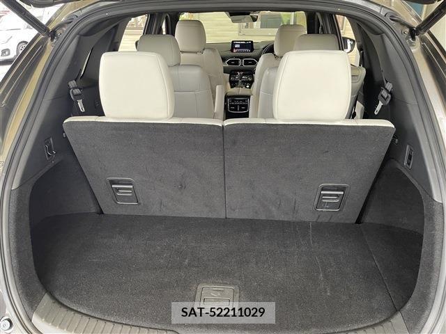 Mazda CX-8 2020-01 358813-18