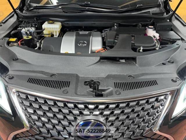Lexus RX 2021-05 354129-18