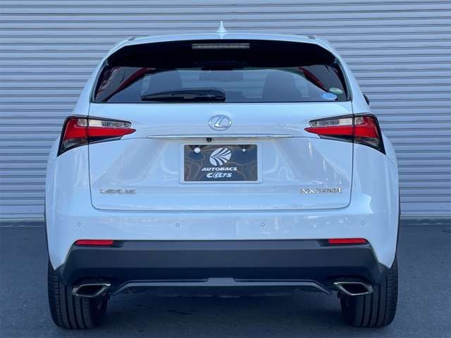 Lexus NX 2016-05 181318-17
