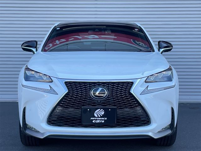 Lexus NX 2016-05 181318-19