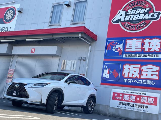 Lexus NX 2016-05 181318-29