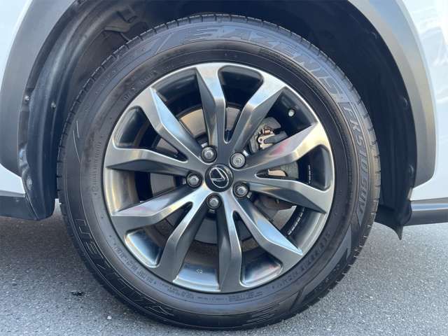 Lexus NX 2016-05 181318-13