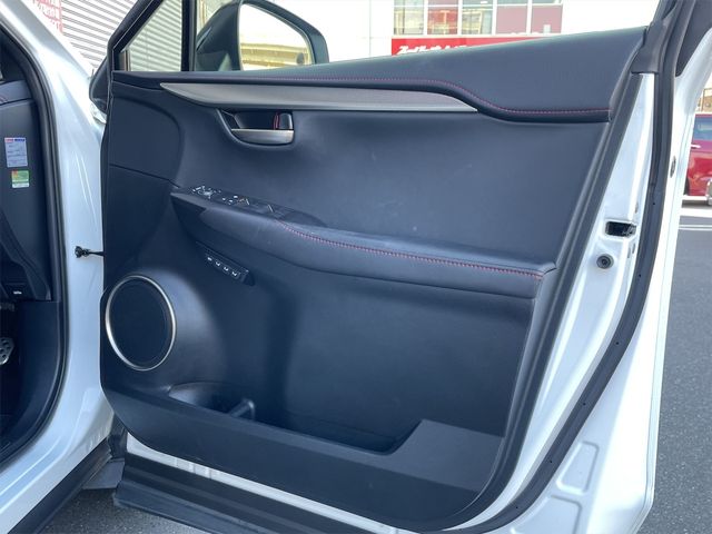 Lexus NX 2016-05 181318-22