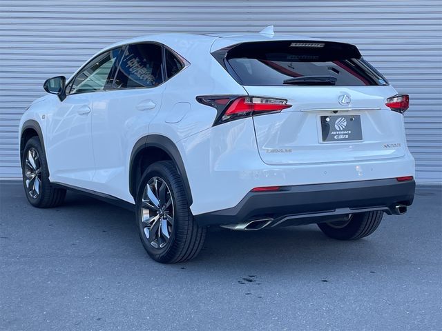 Lexus NX 2016-05 181318-18