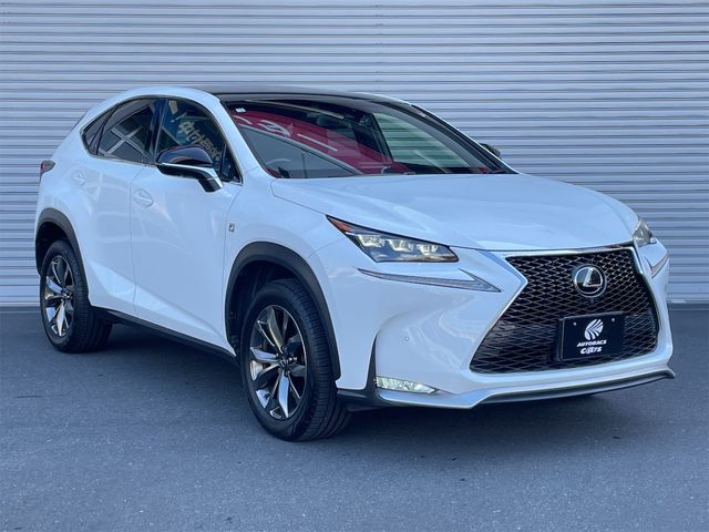 Lexus NX 2016-05 181318-20