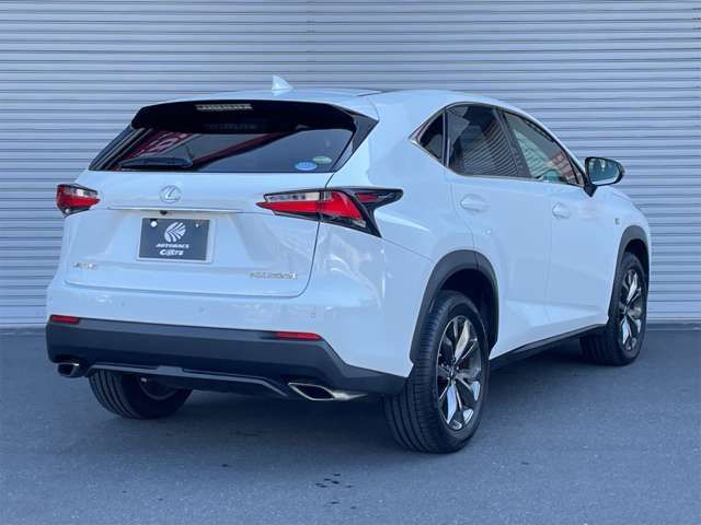 Lexus NX 2016-05 181318-2