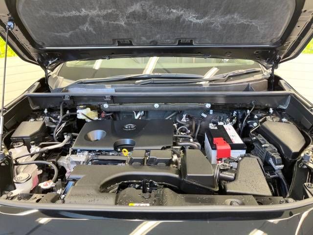 Toyota RAV4 2022-06 194974-18