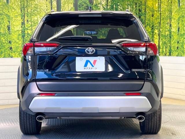 Toyota RAV4 2022-06 194974-15