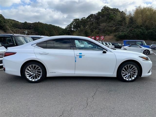 Lexus ES 2019-07 196318-11