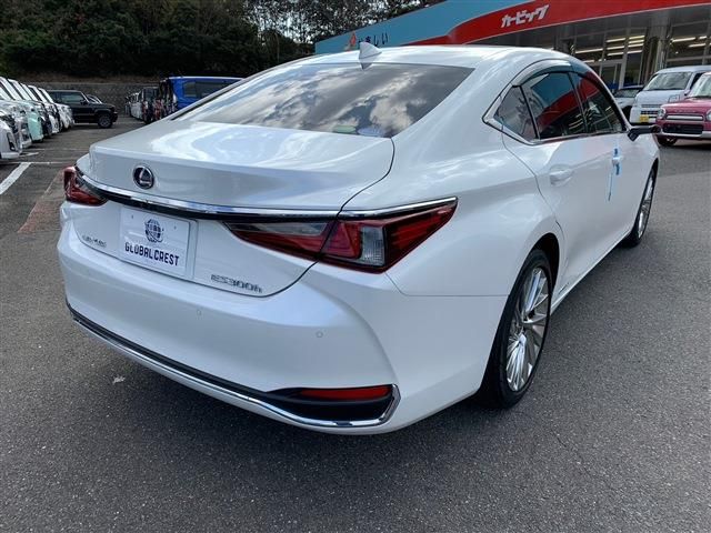 Lexus ES 2019-07 196318-10