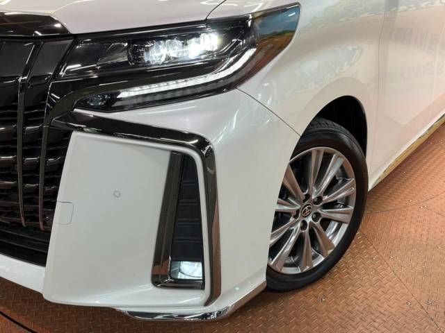 Toyota ALPHARD 2022-05 193348-9