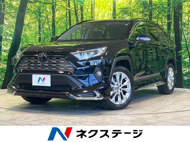 Toyota RAV4 2019-08 196152-0