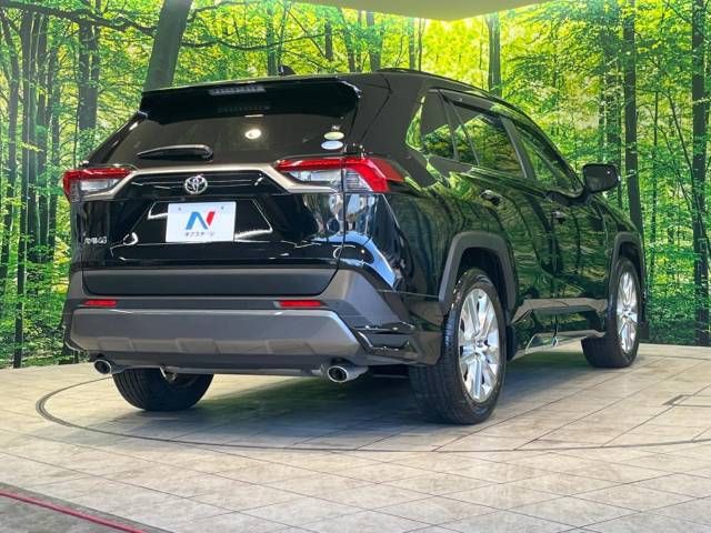 Toyota RAV4 2019-08 196152-17