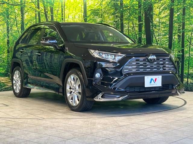 Toyota RAV4 2019-08 196152-16