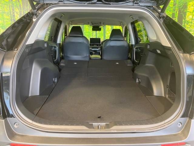Toyota RAV4 2019-08 196152-10