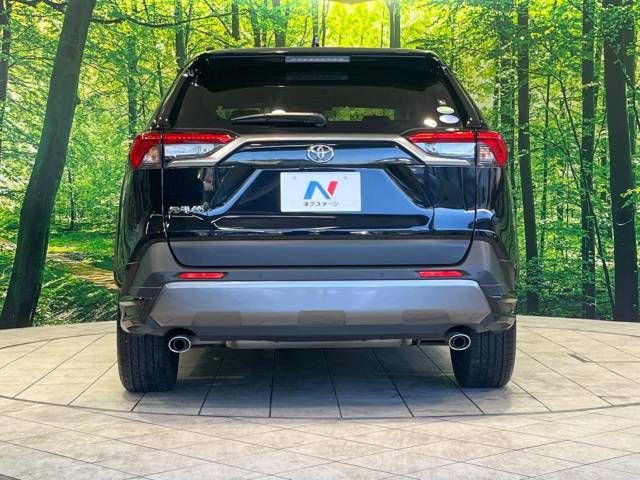 Toyota RAV4 2019-08 196152-15
