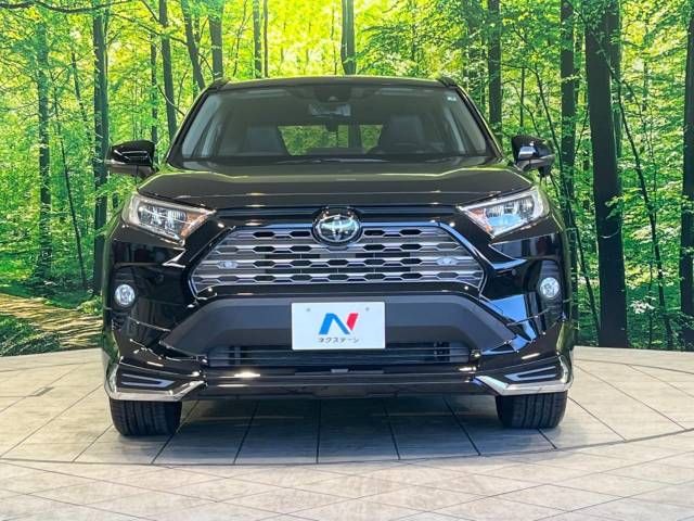 Toyota RAV4 2019-08 196152-14