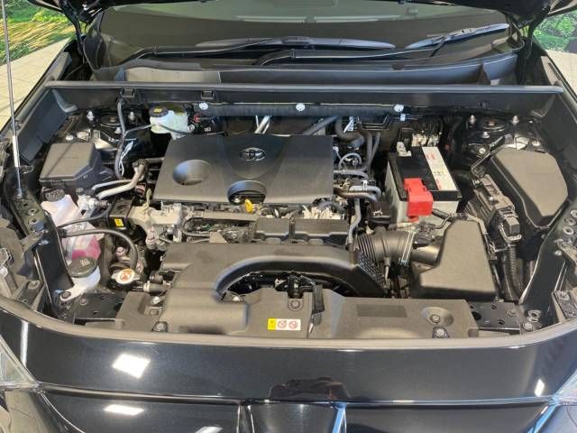 Toyota RAV4 2019-08 196152-19