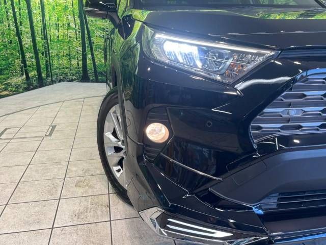 Toyota RAV4 2019-08 196152-12