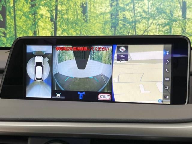 Lexus RX 2018-02 9432-3